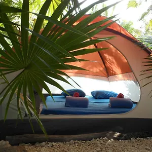 Turquesa Jungle Camping Campsite